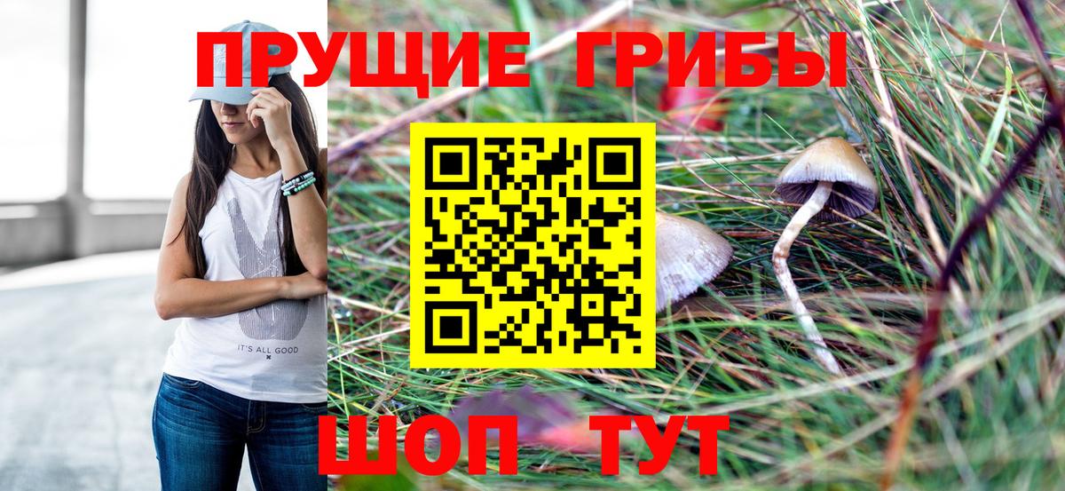 Псилоцибиновые грибы GOLDEN TEACHER Нижнекамск