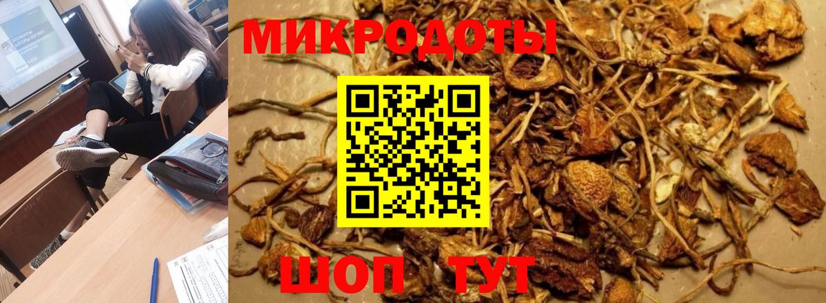 Псилоцибиновые грибы GOLDEN TEACHER  Галлюциногенные грибы Magic Shrooms  Нижнекамск  Вход с VPN 
